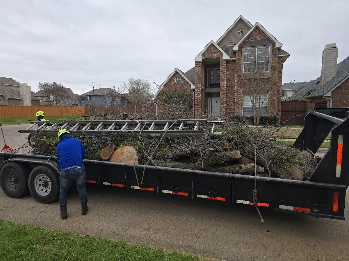Expert Lot Clearing with proper safety equipment in Endicott